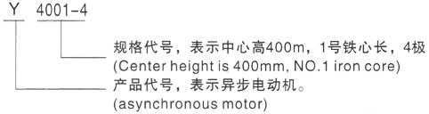 西安泰富西玛Y系列(H355-1000)高压西玛小型电机三相异步电机型号说明